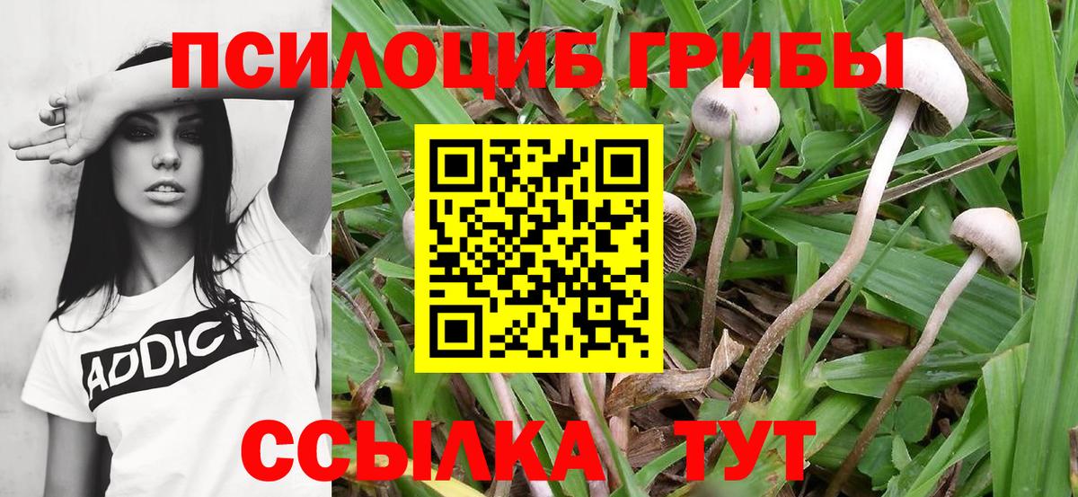 Псилоцибиновые грибы мухоморы  Вход с VPN  Семилуки 